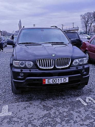 BMW X5: 2004 г., 3 л, Автомат, Дизель, Кроссовер