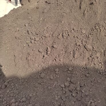 семена петунии купить бишкек: В тоннах, Бесплатная доставка, Зил — 1