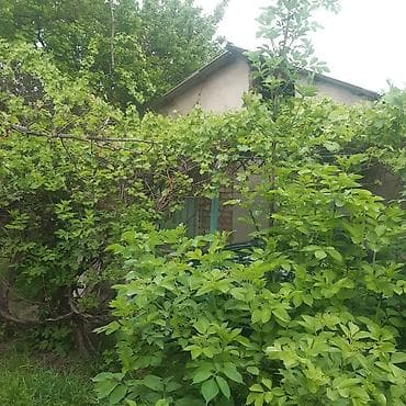 верхний токолдош: Продается дача в ТС Бек тоо — 7