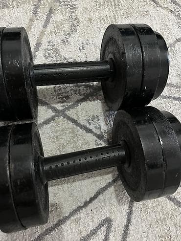 Спорт и отдых: Пара гантелей, классическая конструкция. По 10 кг оба 20 кг — 1