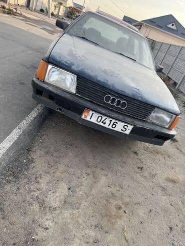 продам бу оборудование для птицефабрики: Продаю | Корова (самка) | Для разведения | Нетель — 6