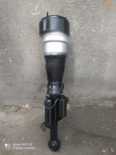 бакту долонотуу: С выездом — 11