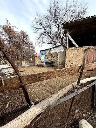 для бани: 🏡 ПРОДАЕТСЯ ДОМ в с. Первомайское (Селекция) 📍 Участок 10 соток (по — 2