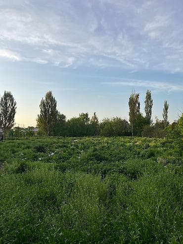 Продажа участков: 20 соток, Красная книга — 10
