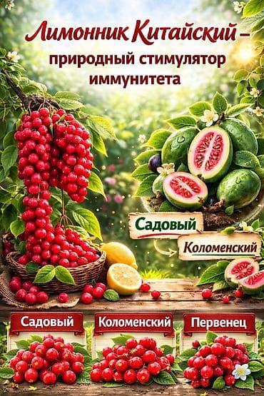 смородина варенье: Https://t.me/blooming_garden_kg Редкие, крупноплодные и полезные — 3