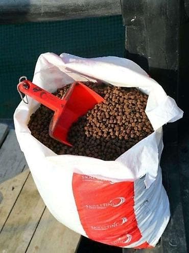 Рецептура комбикорма для (форели/кошек/собак/бройлера/крупнорогатого at lalafo.kg Рецептура комбикорма для (форели/кошек/собак/бройлера/крупнорогатого