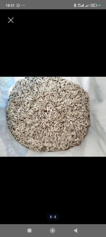 кленовый сироп бишкек: Есть 200 кг +-
Доставка есть Бишкек Кара Балта Сокулук Беловодск — 4