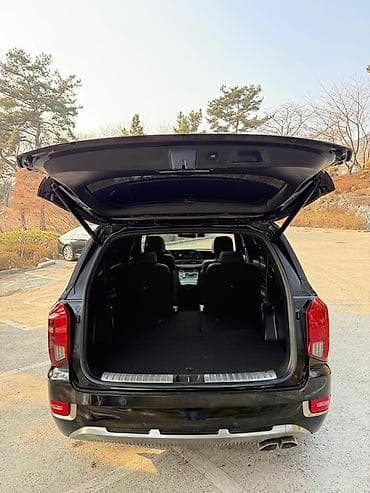 haima 3: Hyundai Palisade: 2022 г., 2.2 л, Автомат, Дизель, Кроссовер — 10