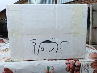 пластиковые контейнеры с крышкой купить бишкек: Пищевой контейнер, цвет - Белый, Самовывоз — 4