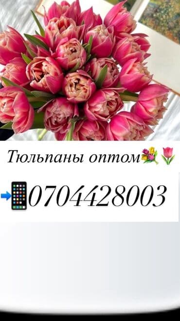 Гирлянды: Тюльпаны оптом. - Срезанные тюльпаны в упаковке, готовые к — 1