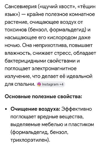 продажа комнатных цветов: Распродажа комнатных цветов!!!🪴🌵🌱 — 2