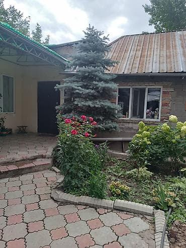 чон: Бизнес менен Чон -Арыктан биринчи линиядан Уй сатылат 350000$ — 9