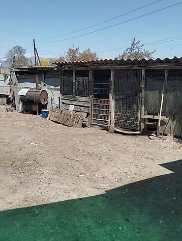 цены в новостройках: Продается дом с участком для отличного отдыха всей семьёй и ведения — 4