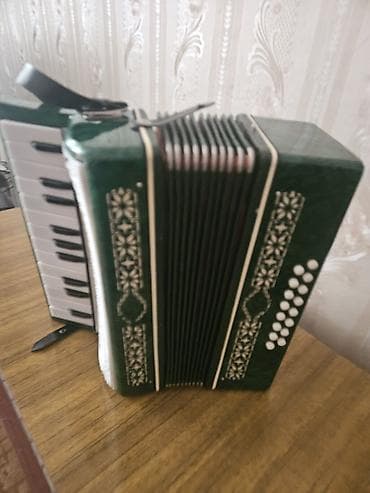 Аккордеон (кнопочно-клавишный) - Корпус зеленого перламутрового цвета at lalafo.kg Аккордеон (кнопочно-клавишный) - Корпус зеленого перламутрового цвета