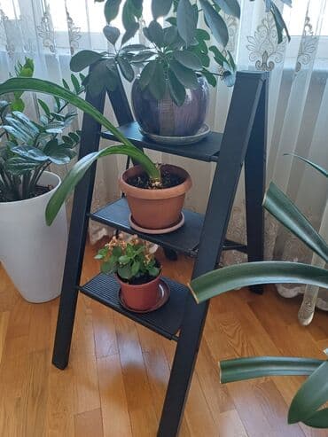 Продаются лестницы для дома, квартир. удобно для высоких шкафов и в