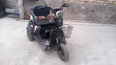 багажник на мото: Электрический трёхколёсный скутер (мобильность/городские поездки) - — 1