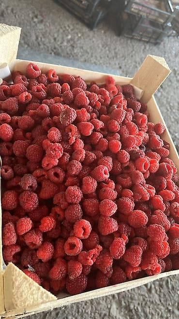 один штук: Свежезамороженные и свежие ягоды Ассортимент: - Малина — целая — 3