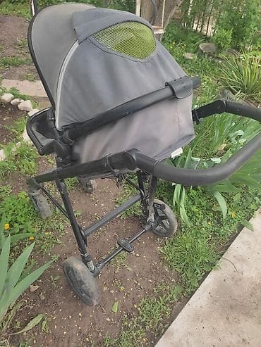 Птицы: На выбор. Если интересно цены уточняем здесь или звоним! — 9