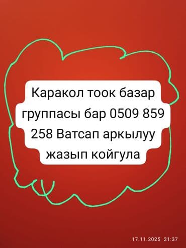 продам домик для кошки: Продаю | Куры, Петух — 1