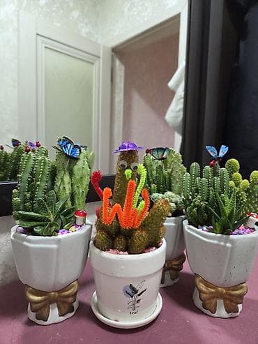 Комнатные розы: Композиция из суккулентов в многоярусном кашпо - Состав: несколько — 6