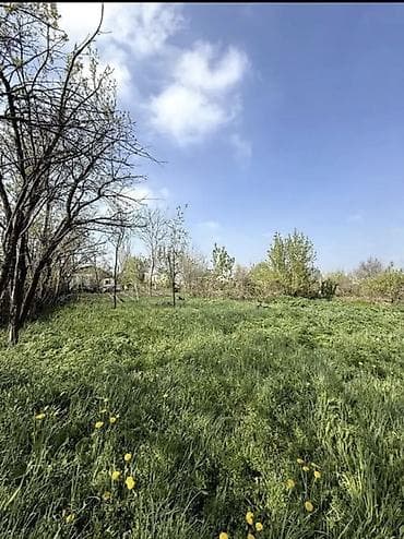 үй дордой: 4 соток, Курулуш, Кызыл китеп — 2