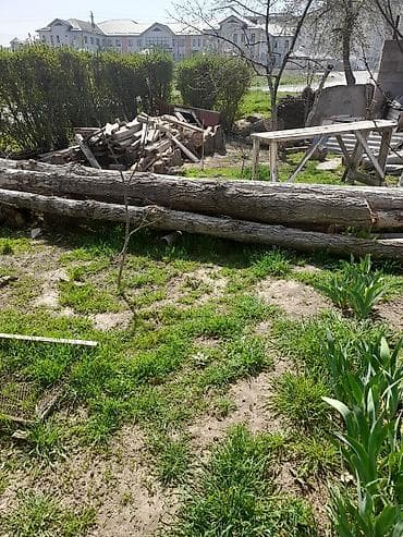 спилы: Садовая земля/грунт и древесина после спила деревьев. Описание: - — 3