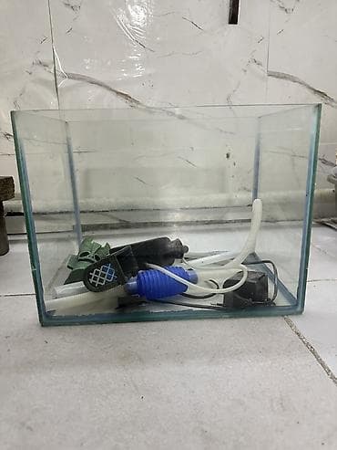 аквариум 200: Аквариумный комплект - Прямоугольный стеклянный аквариум из — 1