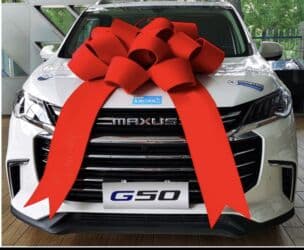 Аренда и продажа Большой декоративный бант для автомобиля - Яркий