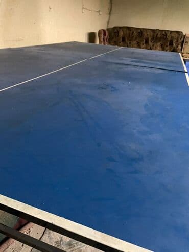 аренда аккордеона: Теннисный стол для настольного тенниса (пинг-понга) синего цвета. - — 2