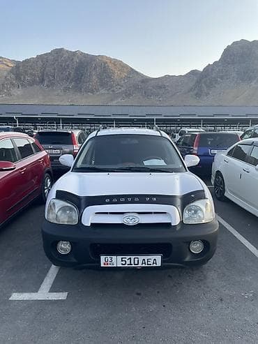 капитор: Hyundai Santa Fe: 2004 г., 2 л, Автомат, Дизель, Кроссовер — 3