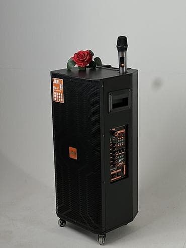 прокат авто в бишкеке: Колонки в аренду город Бишкек 
На сутку - 900сом 
Тел номер - — 2