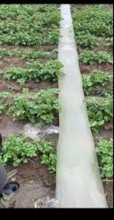 орошение полей цена: Поливной рукав . для полива полей куда вода не доходит . 20 см 30см — 3