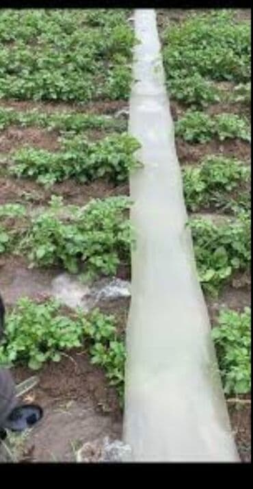 Шланг для полива Новый, Самовывоз