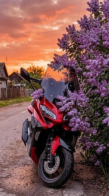 Макси-скутер Yamaha, 200 куб. см, Бензин, Новый — 3