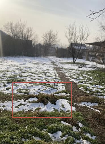 15 соток, Для строительства, Красная книга