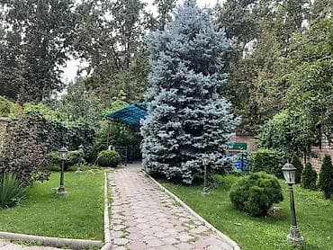 большой сад: ❗️❗️❗️СРОЧНО ПРОДАЕТСЯ❗️❗️❗️ Уютный частный дом с большим озелененным — 6