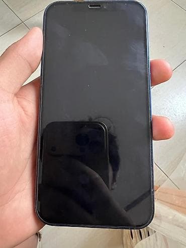 12: IPhone 12, Синий — 4