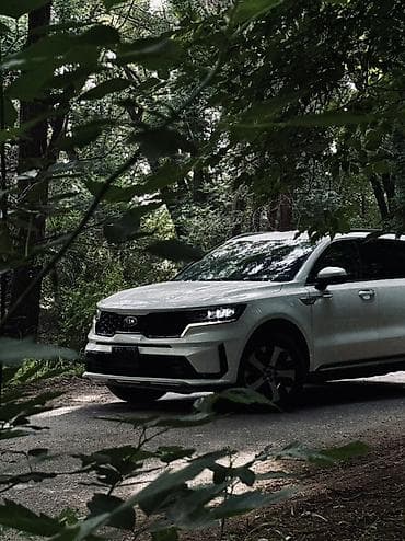 kia rio 1: Kia Sorento: 2020 г., Кроссовер — 2