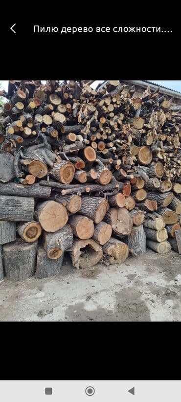 железные шкафы для офиса: Бензин менен иштөөчү араа — 2