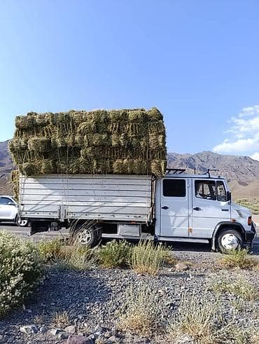тягачи вольво: Грузовик, Mercedes-Benz, Дубль, 7 т, Б/у — 2