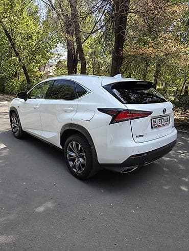 will cypha: Lexus NX: 2020 г., 2 л, Автомат, Бензин, Кроссовер — 6
