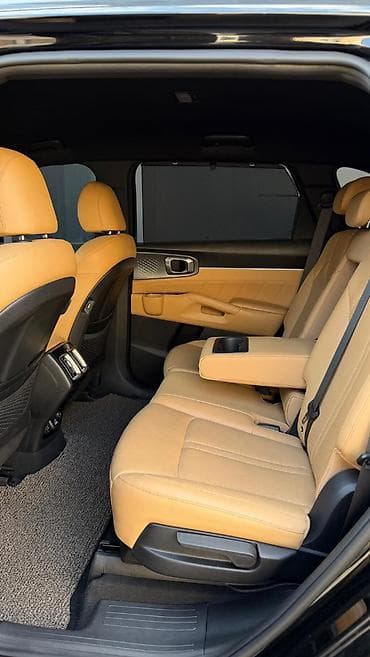 вас 07: Kia Sorento: 2020 г., 1.6 л, Автомат, Гибрид, Кроссовер — 10