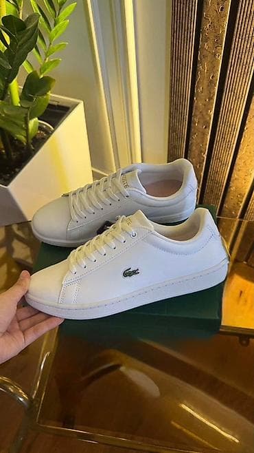 кроссовки reebok: Кроссовки, 39.5, Lacoste, Новый, цвет - Белый, Самовывоз — 1