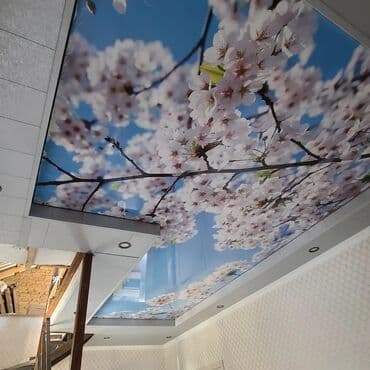 бетон м200 цена с доставкой бишкек: Натяжной жазайбыз 
3d натяжные потолки 
от 1000 сомов 
Бишкек чуй — 5