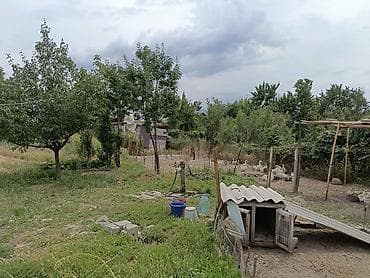 электричества: 10 соток Электричество — 4