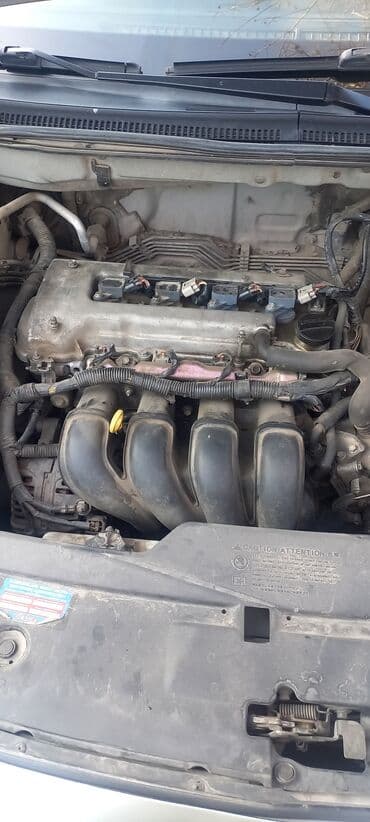 руль от гольф: Бензиновый мотор Toyota 2002 г., 1.8 л — 2