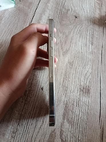 dvd player: IPhone 12 Pro Max, 128 ГБ, Серебристый — 2