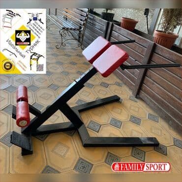 тренажер для гиперэкстензии купить: Family sport Гиперекстензия профессиональный Цена 16.500 тыс — 1