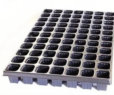 Рассады для кассета оптом и розница