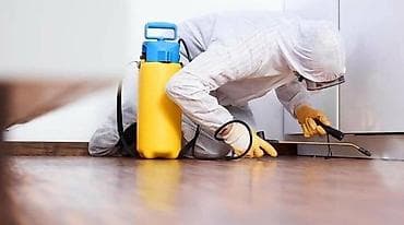против камаров: Профессиональная обработка от тараканов Обработка производится — 1